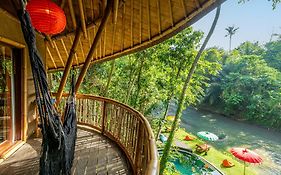 Bamboo Turtles Ecolodge
